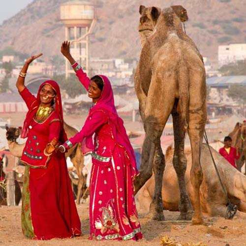 Day trip Ajmer Pushkar