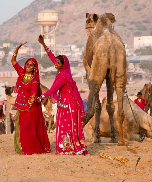 Pushkar Fair Festival